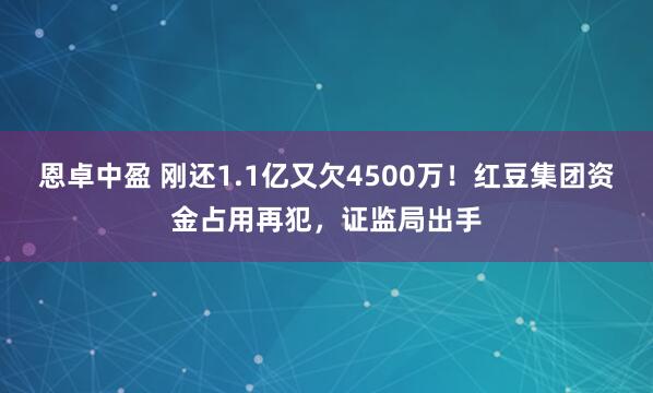 恩卓中盈 刚还1.1亿又欠4500万！红豆集团资金占用再犯，证监局出手