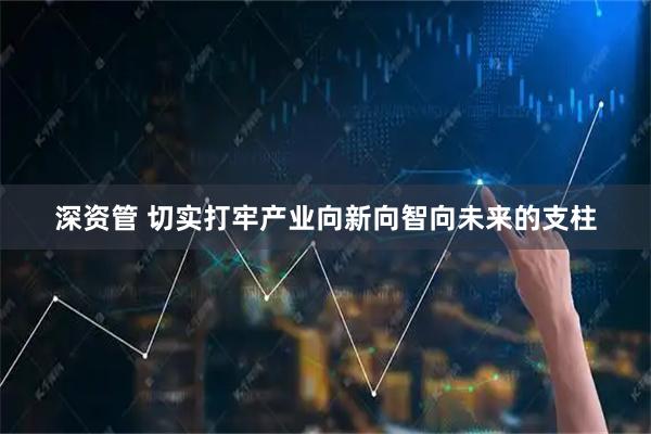 深资管 切实打牢产业向新向智向未来的支柱