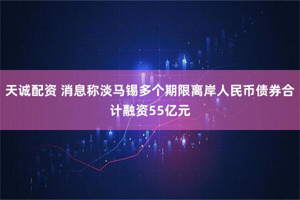 天诚配资 消息称淡马锡多个期限离岸人民币债券合计融资55亿元